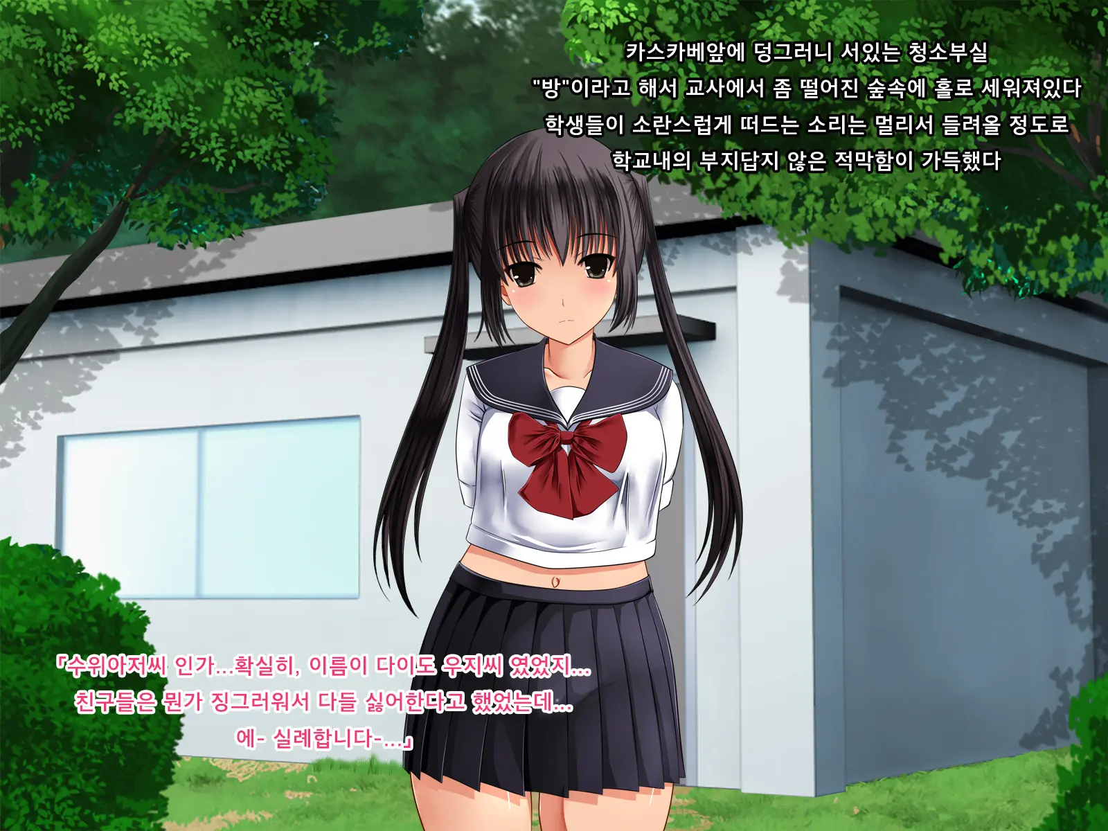 Twintail Bishoujo JK O Chuunen Youmuin Ga Zetsurin Nama Chinpo De Nakadashi Rape Shojo Soushitsu Jusei Sase Haramasete Kara Mo Chitsunai Shasei Sex Shitsuzukeru Hanashi